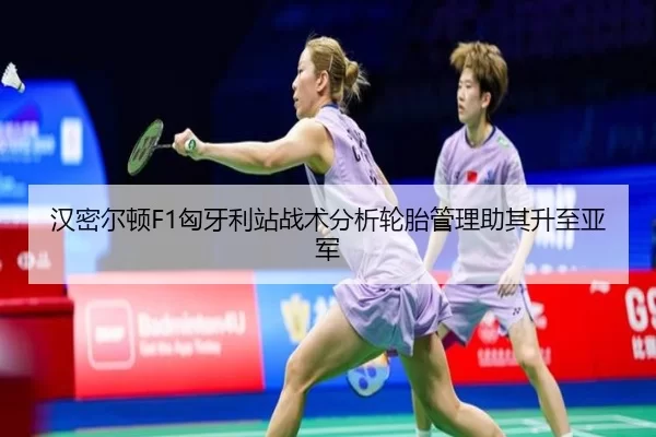 han-mi-er-dun-xiong-ya-li-zhan-zhan-shu-fen-xi-lun-tai-guan-li-zhu-qi-sheng-zhi-ya-jun-2-917.jpg